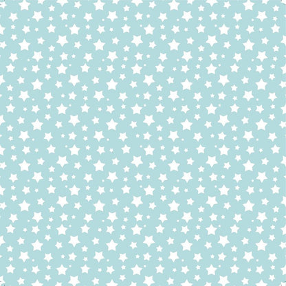 Baby Boy Cardstock Pack 12" / Paquete de 12 Hojas de Cartulina Bebé Niño Descontinuado Little Birdie