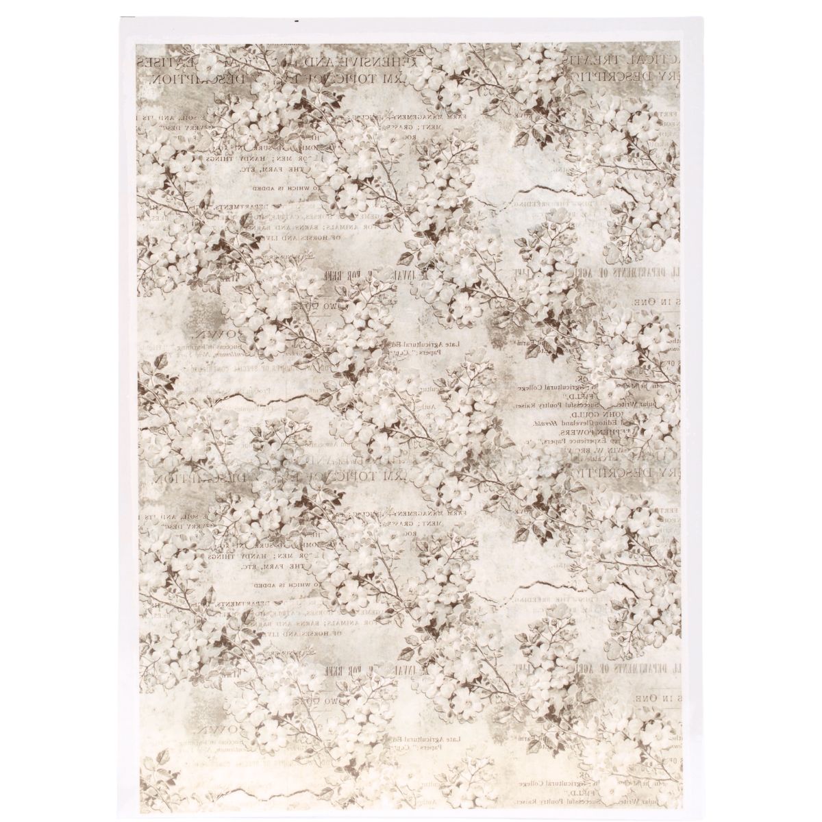 Flower Background 