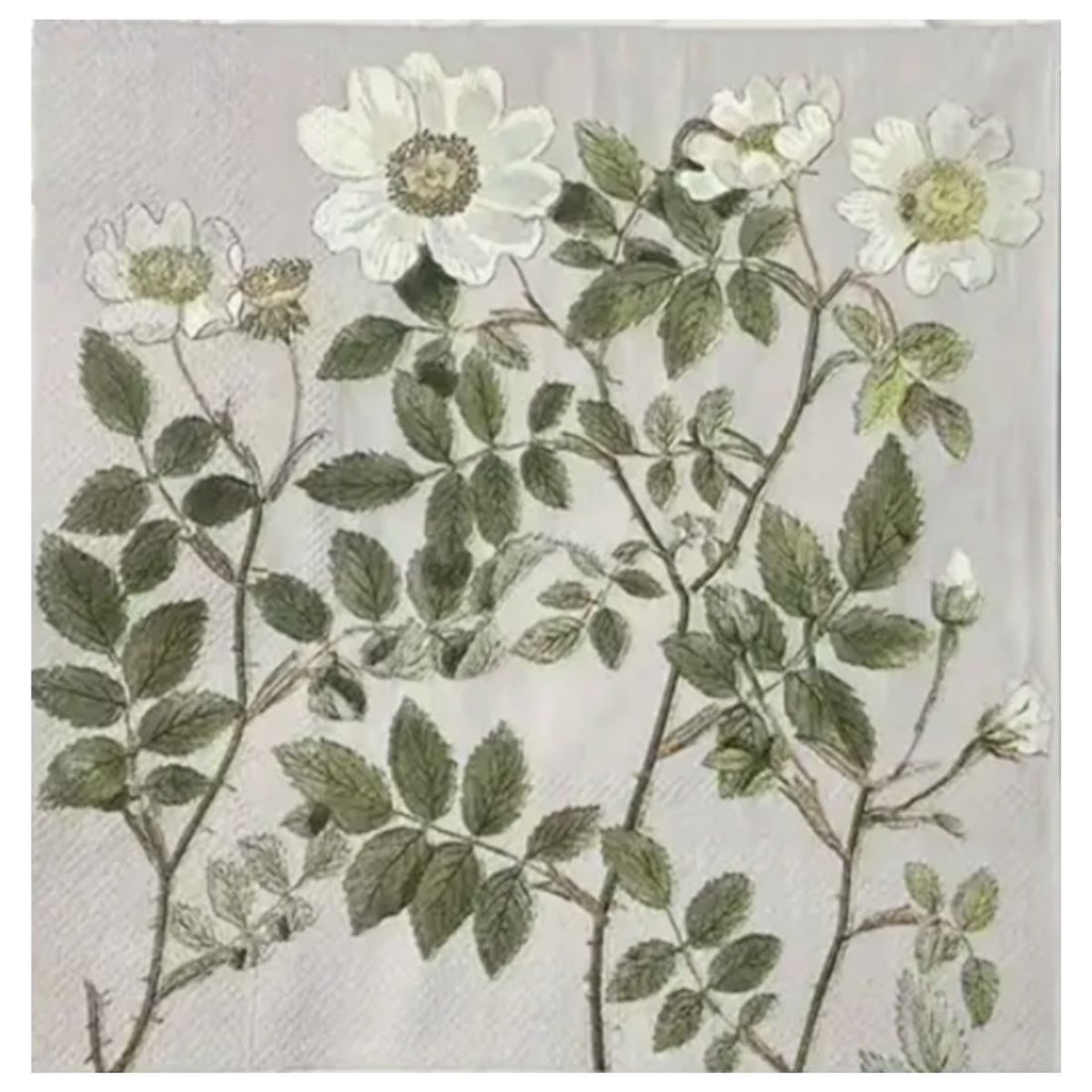 Servilleta de Papel 