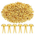 25 Brads Dorados Adornos / Embellishments Hobbees