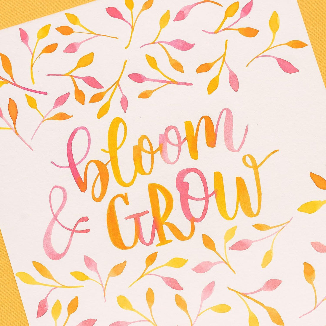 Water Brush Set Fine Point / 2 Pinceles para Agua Punta Fina Caligrafía plumas Kelly Creates