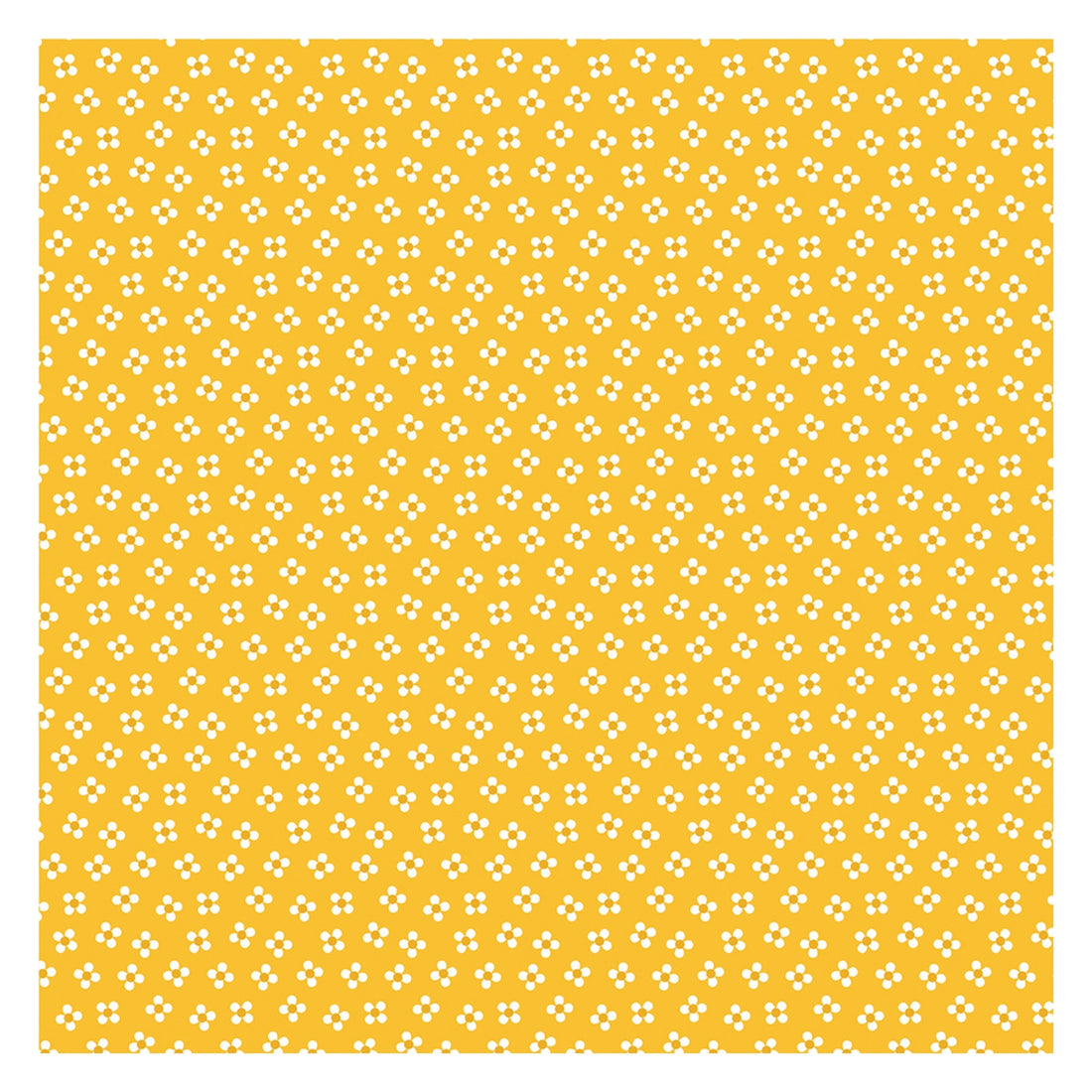 Wish Upon The Stars Double Sided Paper / Papel Doble Cara Mickey 12" Papel, Hojas Sueltas Echo Park