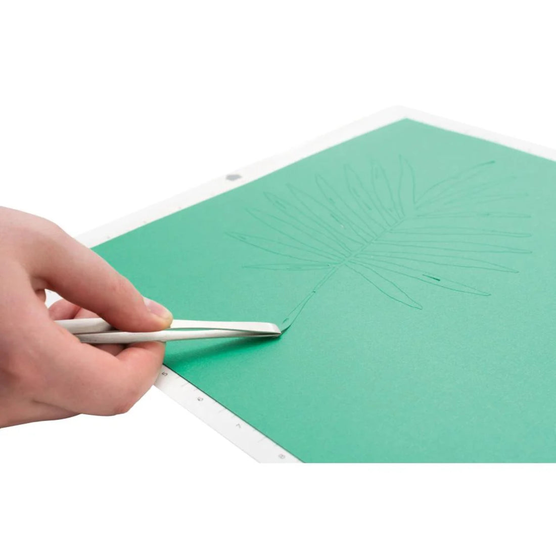 Broad Tip Tweezers / Pinzas Rectas De Punta Ancha Herramientas We R Memory Keepers