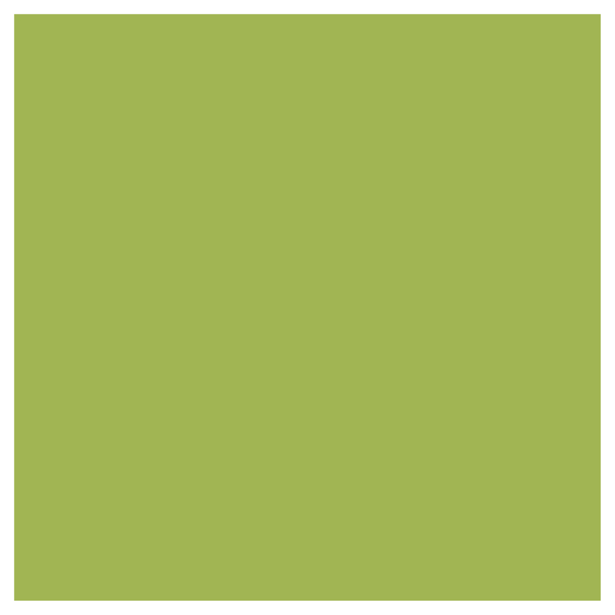 Rit Dye Liquid Apple Green / Líquido para Teñir Verde Manzana Pintura para Tela Rit