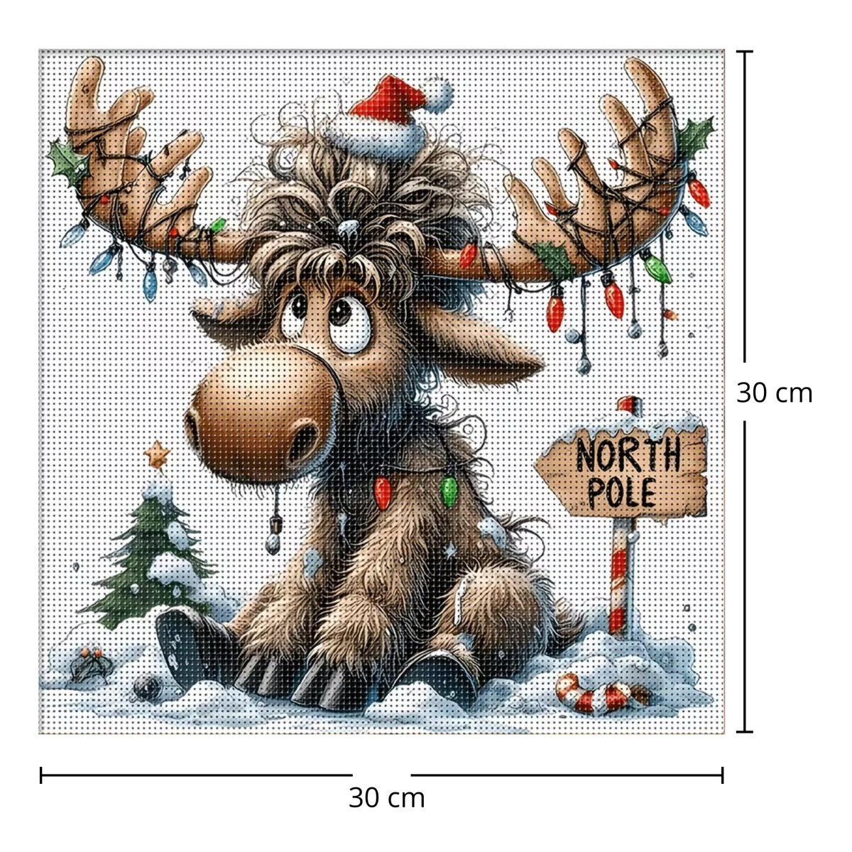 Kit Bordado Punto de Cruz Christmas Reindeer Embroidery Kit 30cm Costura Dowdell