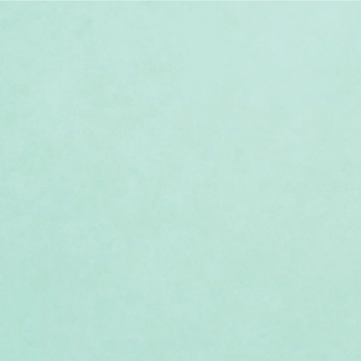 Cardstock Robin Foundations / 10 Cartulinas Color Robin