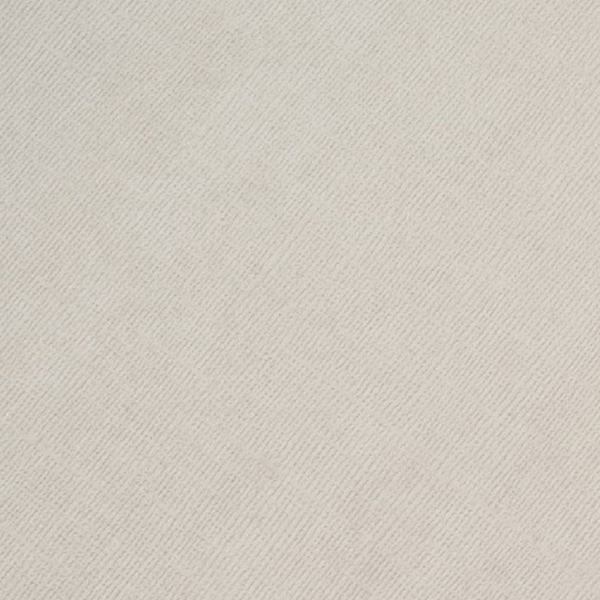 Cardstock Sea Otter Foundations / 10 Cartulinas Color Nutria Papel, Hojas Sueltas Core&