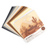 Neutrals Variety Cardstock 12" / Hojas de Cartulina de Colores Neutro hojas American Crafts