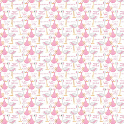 Baby Girl Cardstock Pack 6" / Paquete de 24 Hojas de Cartulina Pequeño Milagro Niña Papel Little Birdie