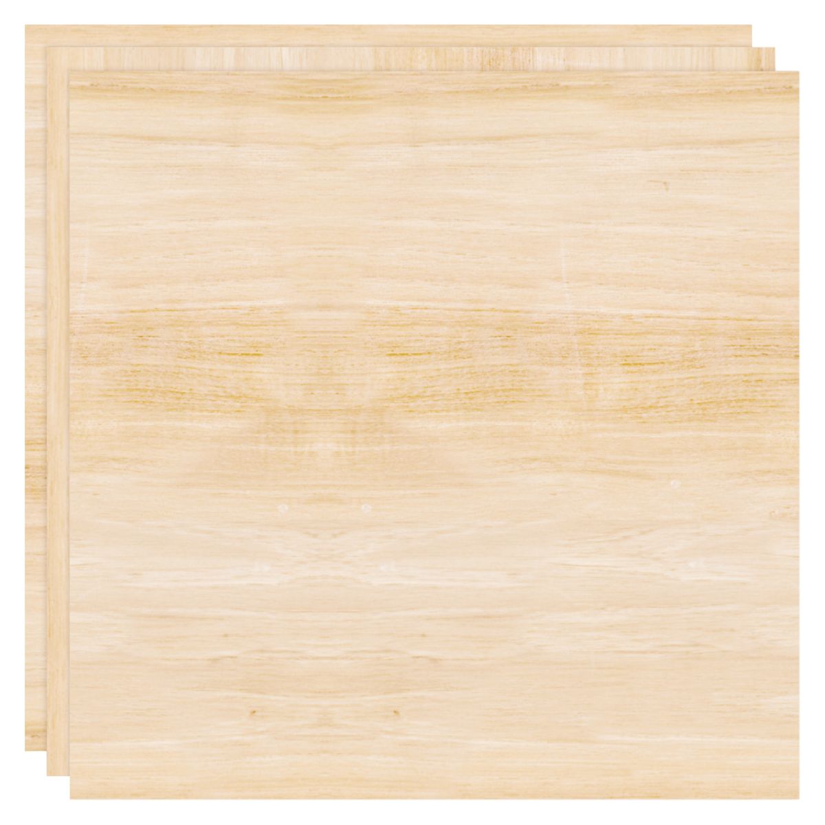 Singe Quill Veneer Sheets 8" / Láminas de Chapa de Madera Accesorios We R Makers