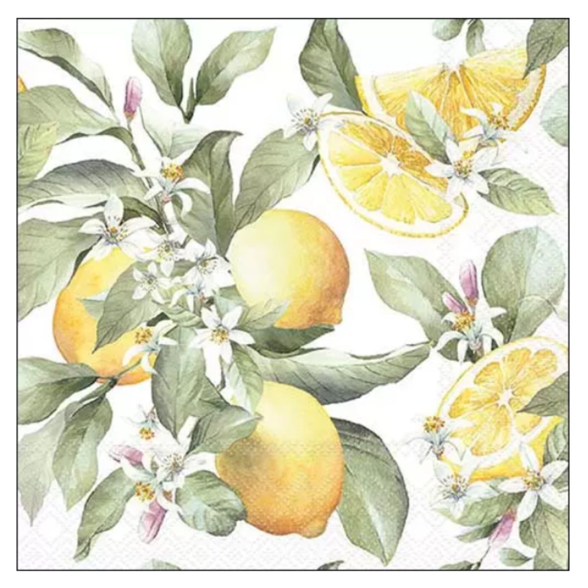 Servilleta de Papel Limoni 