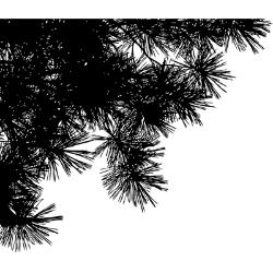 Pine Silhouettes Mounted Rubber Stamp / Sello de Goma Montado Silueta de Pinos Descontinuado Penny Black