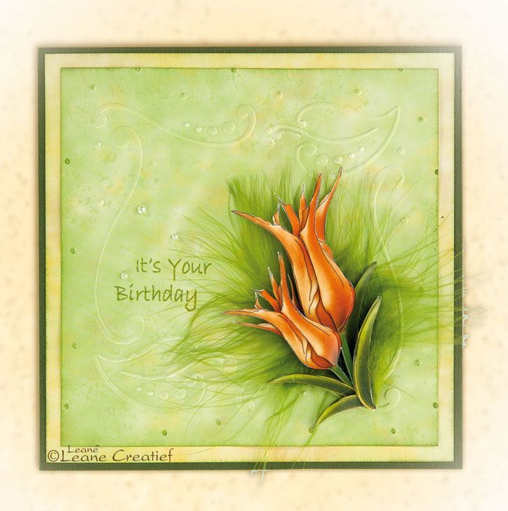 Frame Leaves Embossing Folder / Folder de Grabado de Marco de Hojas Folders de Grabado Leane Creatief
