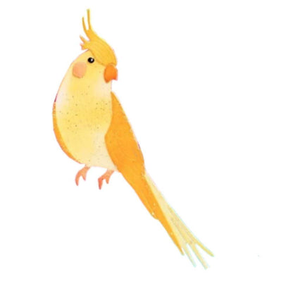 Suaje de Pájaro Cardenal Dados de Corte / Suajes / Troqueles Hobbees