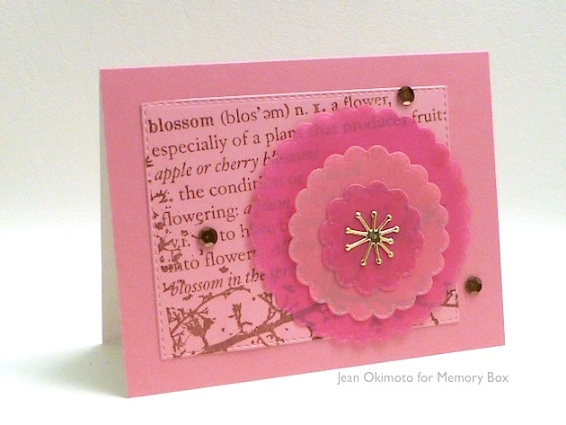 Stitched Scalloped Circles Dies / Suaje de Corte Círculo de Onditas y Costura Descontinuado Memory Box