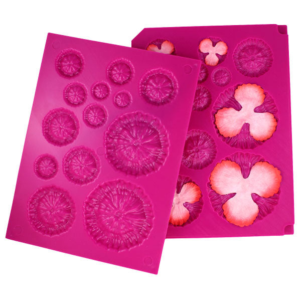 3D Floral Basics Shaping Mold / Moldes para formar flores en 3D Descontinuado Heartfelt Creations
