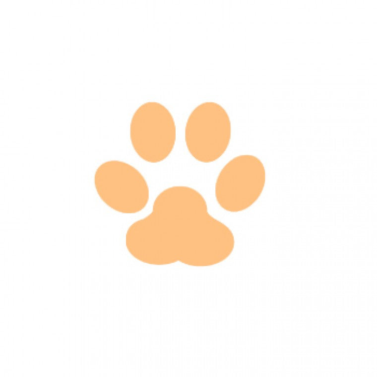 Paw Print Lever Punch Small / Perforadora y Relieve de Huella Descontinuado VAESSEN CREATIVE
