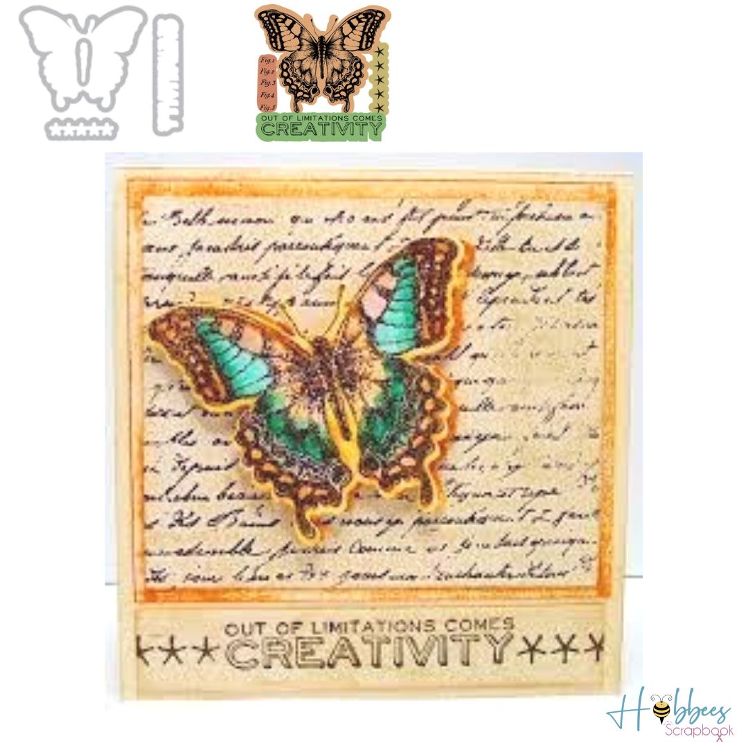 Framelits Die with Clear Acrylic Stamp Set Limitations / Suajes y Sellos de Mariposa Dados de Corte / Suajes / Troqueles Tim Holtz