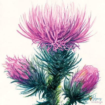 Strathmore Watercolor Paper Pad 12 x 18" / Papel para Acuarela Papel para Arte Strathmore