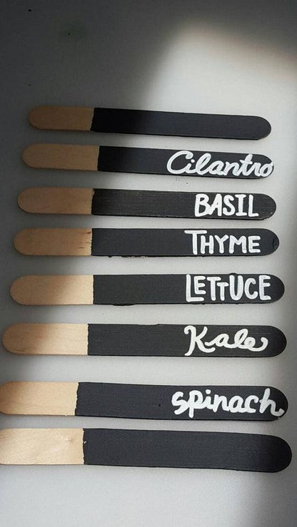 Chalkboard Paint / Pintura de Pizarrón Negra Descontinuado American Crafts