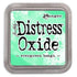 Tim Holtz Distress Oxide Evergreen Bough / Cojin de Tinta Efecto Oxidado Verde Tintas Ranger