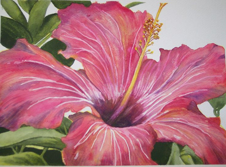Pink Art Watercolor Pencil / Estuche de Lapices Acuarelables Colores y Plumones Royal Langnickel