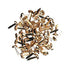 Mini Gold Enamel Brads / Mini Tachuelas Esmaltadas Dorado Descontinuado Darice